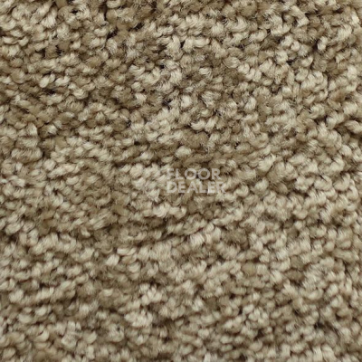 Ковролин Mohawk Luxury ly 552 Cypress фото 1 | FLOORDEALER
